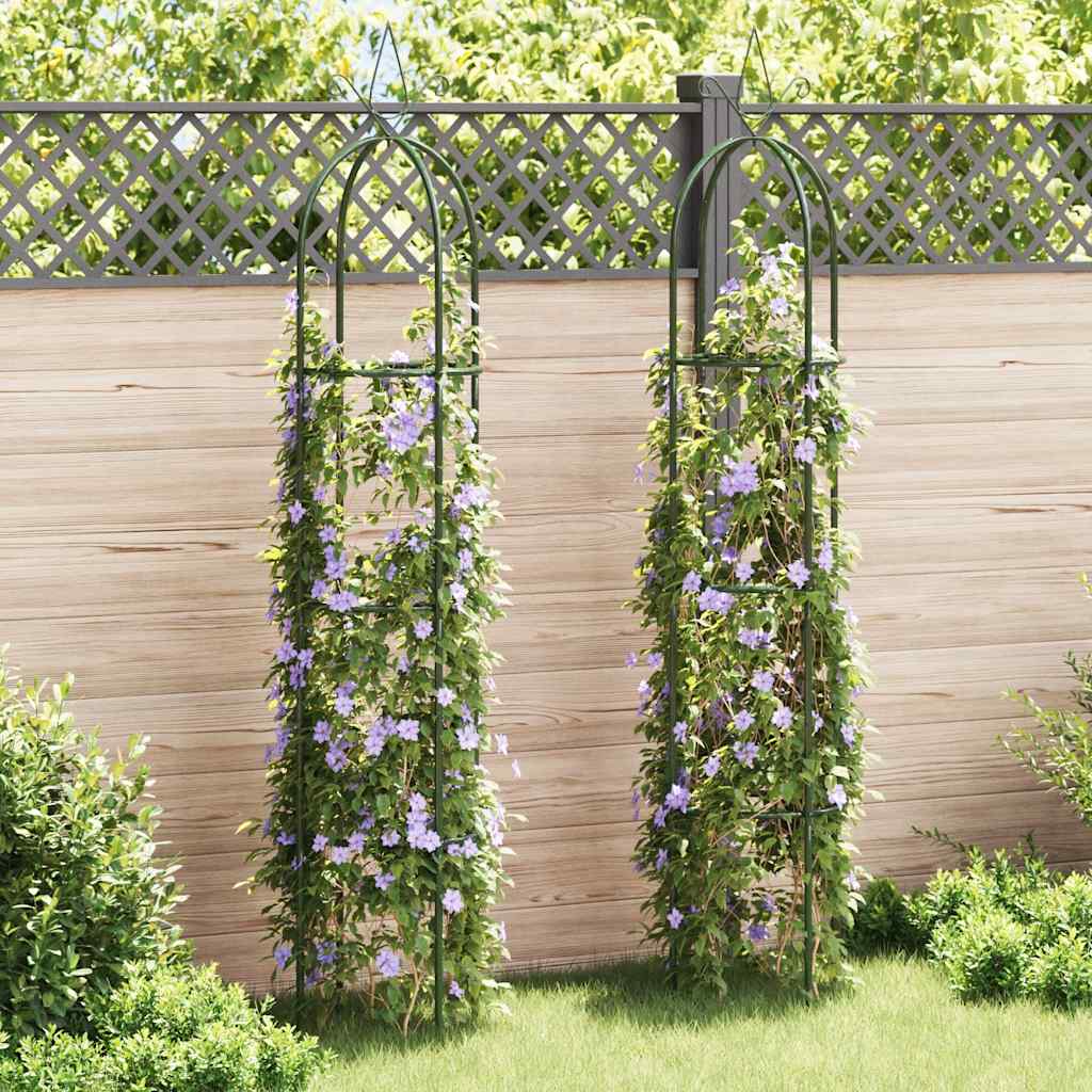 Set Torri ad Arco 2 pz per Piante Rampicanti da Giardino 40779