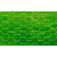 Recinzione in Rete per Pollaio Acciaio Zincato 25x0,75m Argento cod mxl 63996