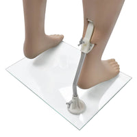 Manichino Uomo senza Testa cod mxl 68714