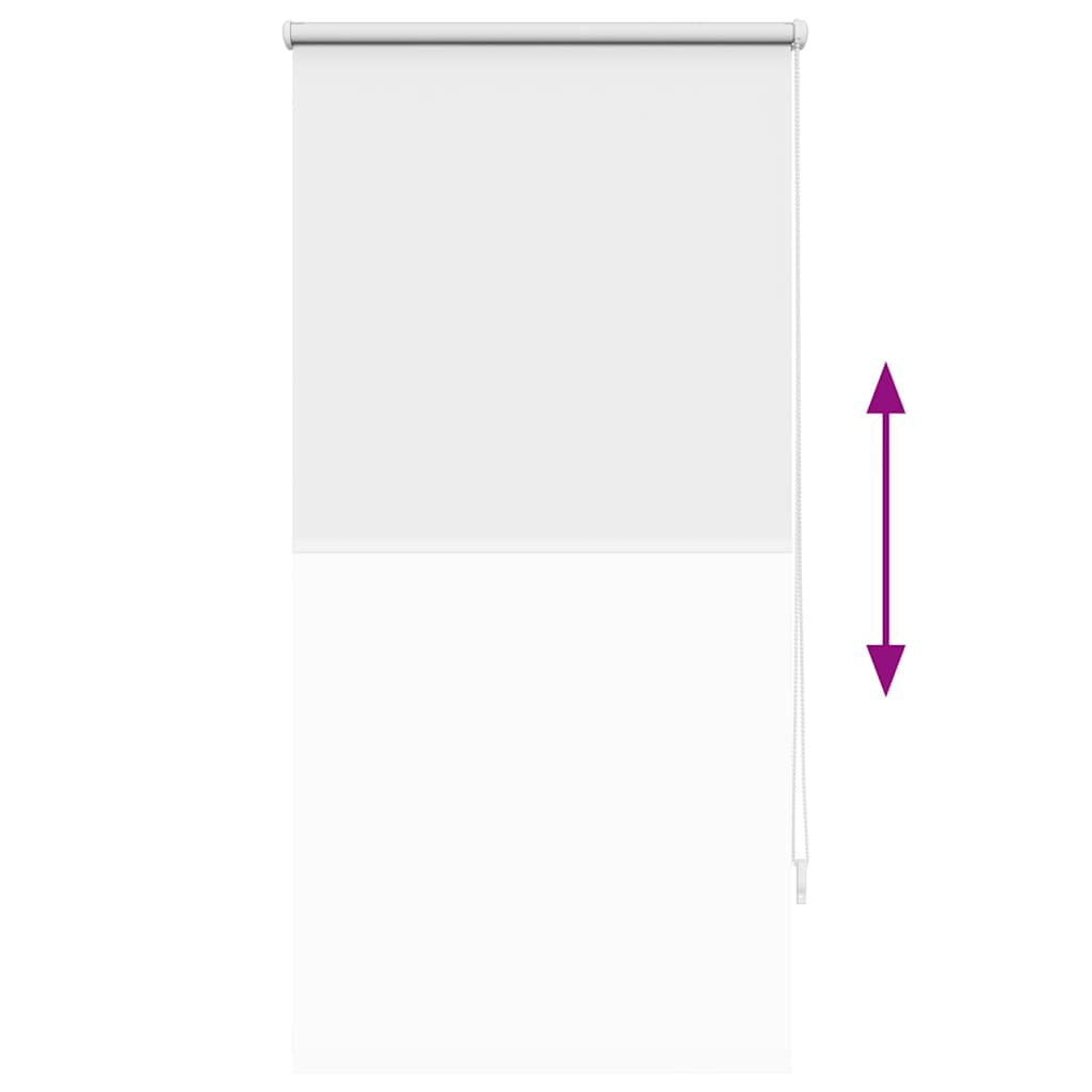 Tenda a rullo oscurante 60 x 120 cm Bianco 240740