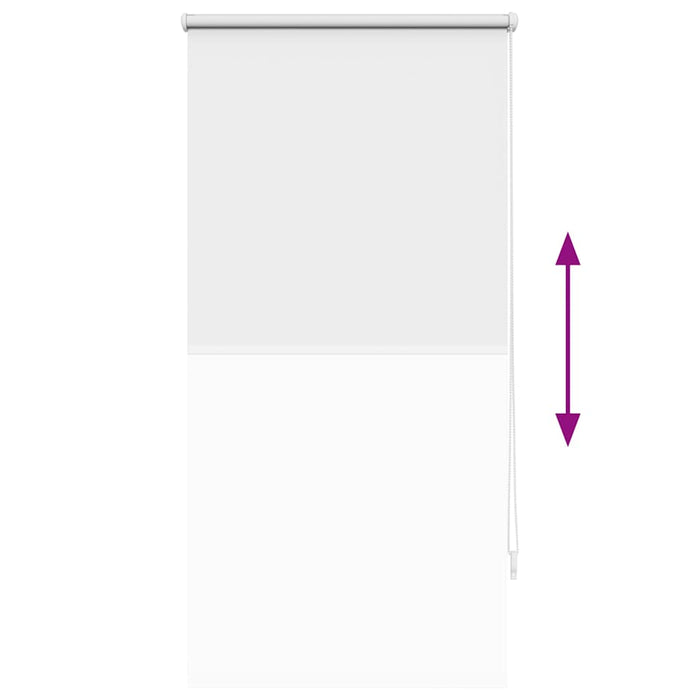 Tenda a rullo oscurante 60 x 120 cm Bianco 240740