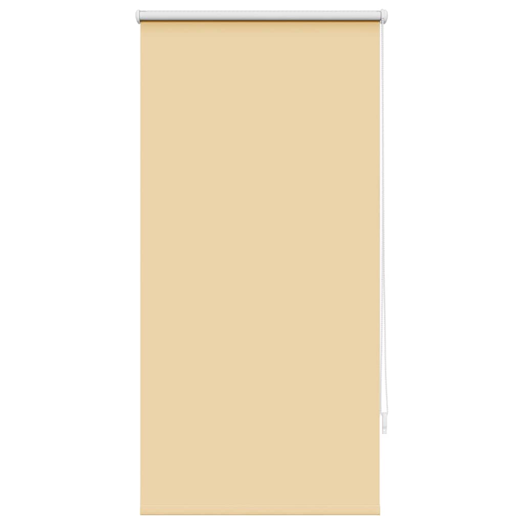 Tenda Oscurante a Rullo 60 x 120 cm Beige 240742