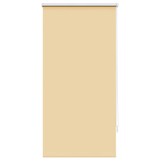 Tenda Oscurante a Rullo 60 x 120 cm Beige 240742