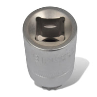 Set di Bussole a 12 Punte 10 pz su Striscia 140814