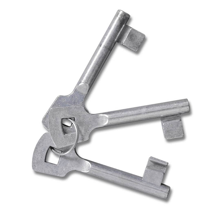 Cancello per Giardino in Rete Metallica 289x200 cm/306x250 cm  cod mxl 52840