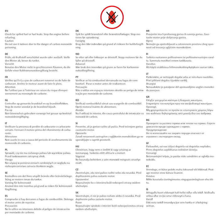 Pompa d'Acqua Motore a Benzina 80 mm Attacco 4800 W 140935