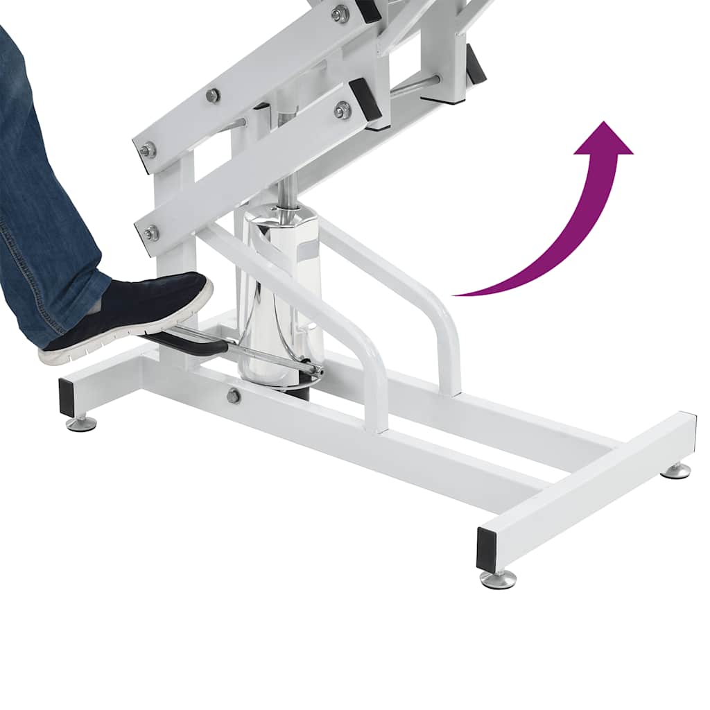 Tavolo di Toelettatura Idraulico per Cani Gatti Regolabile 170172