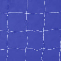 Porta da Calcio e Telone con Buchi per Allenamento 240x92x150cm 90573