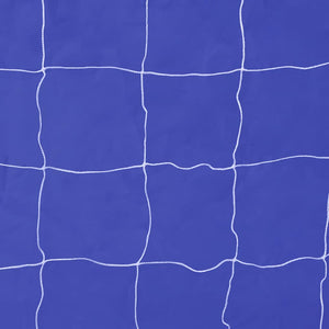 Porta da Calcio e Telone con Buchi per Allenamento 240x92x150cm 90573