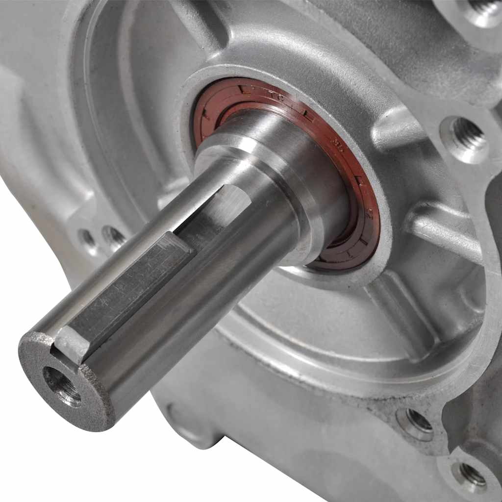 Motore a Benzina 15 HP 11 kW Nero 141247