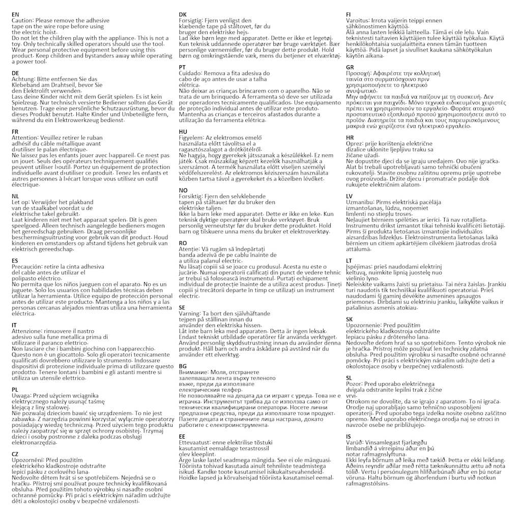 Sollevatore Elettrico 500 W 100/200 kg 141275