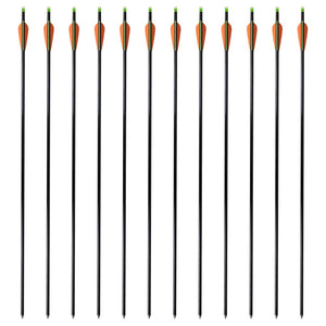 Frecce per Arco Composito Standard 12 pz 30" 0,8 cm Fibra Vetro 90855