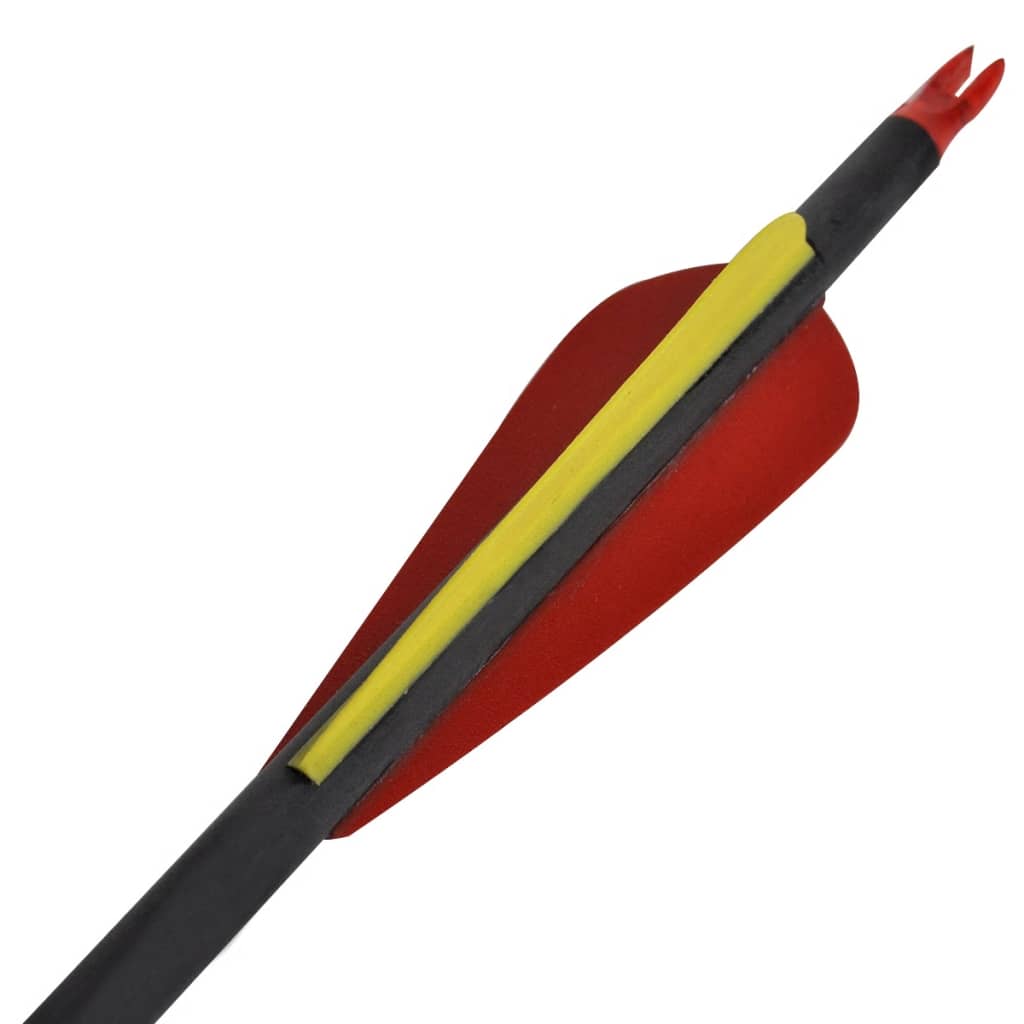 Frecce Standard 12 pz per Arco Ricurvo 30" 0,76 cm in Carbonio 90857