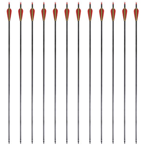 Frecce Standard 12 pz per Arco Ricurvo 30" 0,76 cm in Carbonio 90857