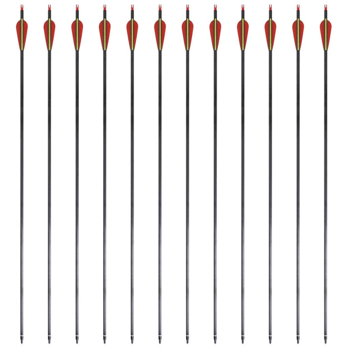 Frecce Standard 12 pz per Arco Ricurvo 30" 0,76 cm in Carbonio 90857