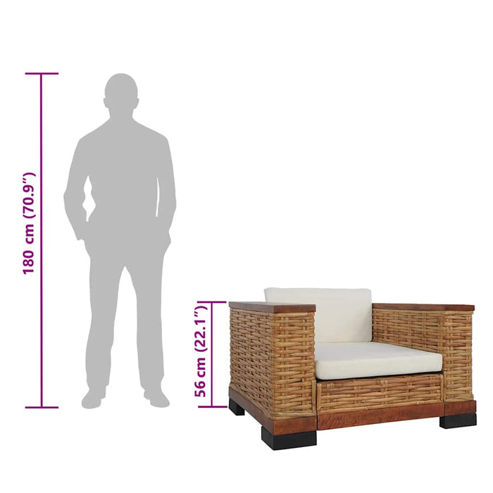 Poltrona con Cuscini Marrone in Rattan Naturale 283078