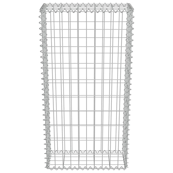 Gabbione con Copertura in Acciaio Zincato 50x20x100 cm