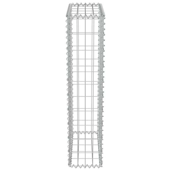 Gabbione con Copertura in Acciaio Zincato 50x20x100 cm
