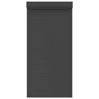 Tapparella Avvolgibile in Alluminio 100x210 cm Antracite 144981