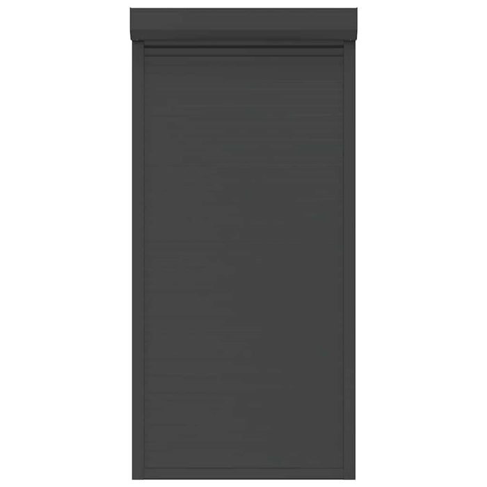 Tapparella Avvolgibile in Alluminio 100x210 cm Antracite 144981