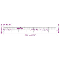 Recinzione Giardino con Punta a Lancia Acciaio 11,9x0,8 m Nera cod mxl 5524