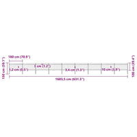 Recinzione da Giardino con Punta a Lancia in Acciaio 1603,5x100 cm Nero 277619