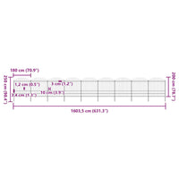 Recinzione da Giardino con Punta a Lancia in Acciaio 1603,5x200 cm Nero 277756