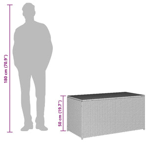 Baule da Giardino in Polyrattan 100x50x50 cm Grigio 46473