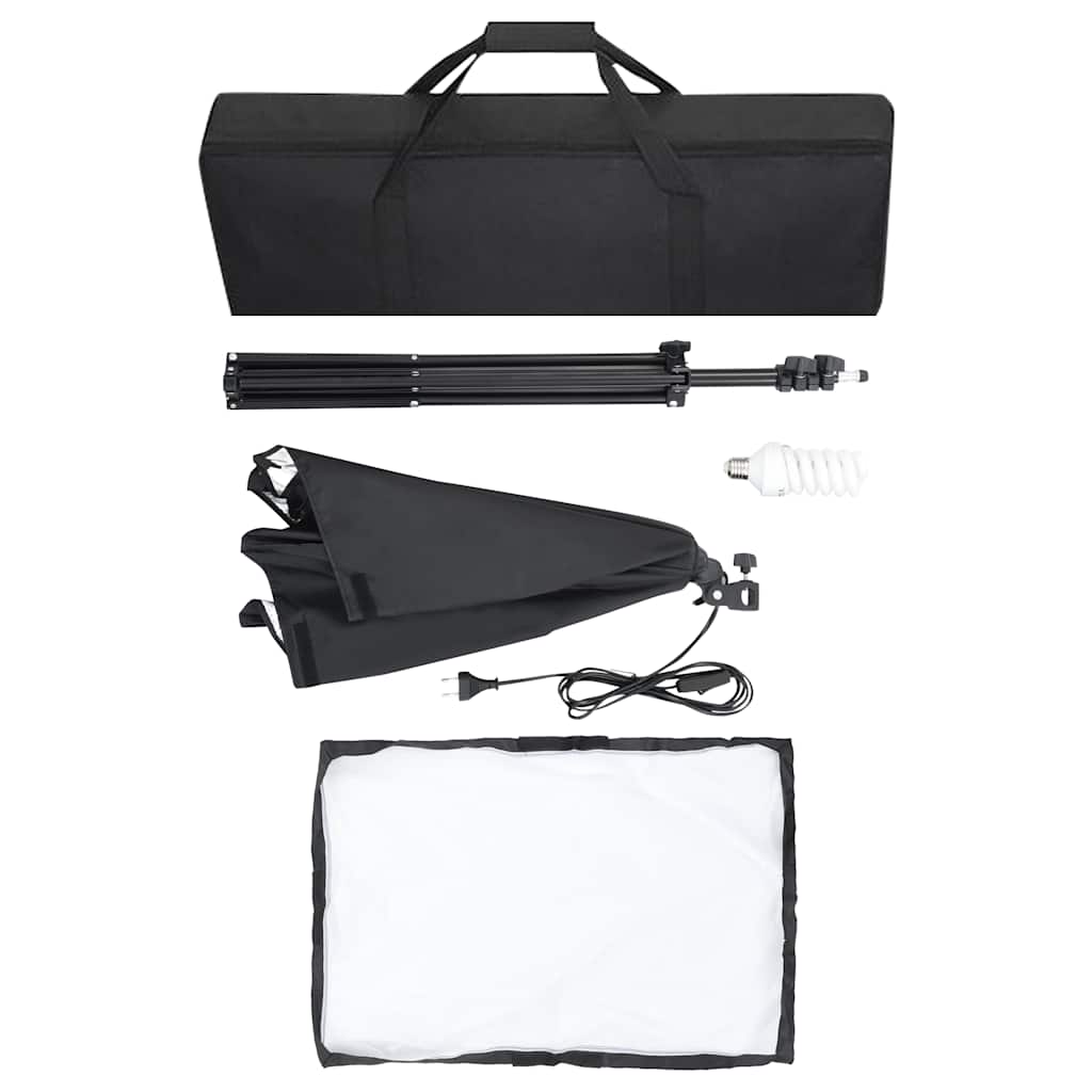 Luci Professionali da Studio 2 pz 40x60 cm in Acciaio Nero 190216