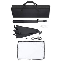 Luci Professionali da Studio 2 pz 40x60 cm in Acciaio Nero 190216