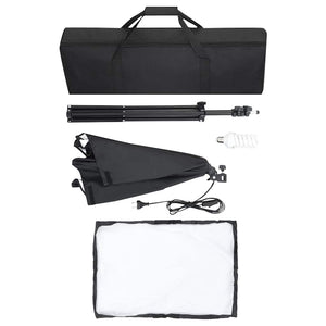 Luci Professionali da Studio 2 pz 40x60 cm in Acciaio Nero 190216