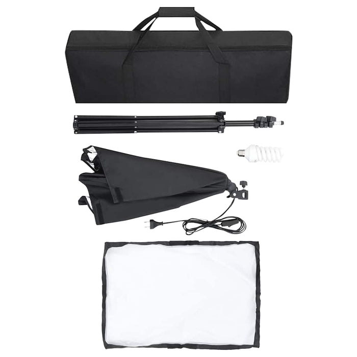 Luci Professionali da Studio 2 pz 40x60 cm in Acciaio Nero 190216