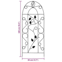 Supporti da Giardino per Piante 3 pz Neri 40x100 cm in Ferro 47099