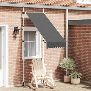 Tenda da Sole Retrattile Manuale 100 cm Antracite 145832
