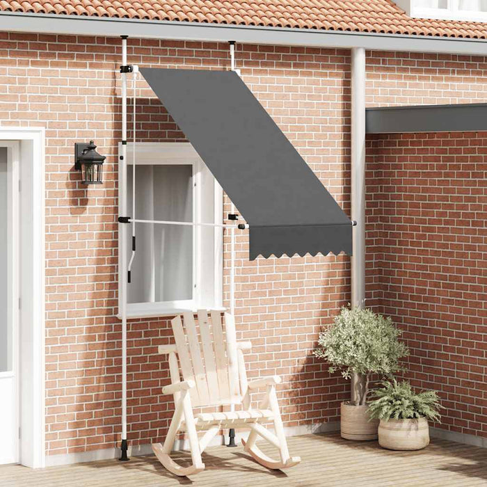 Tenda da Sole Retrattile Manuale 100 cm Antracite 145832