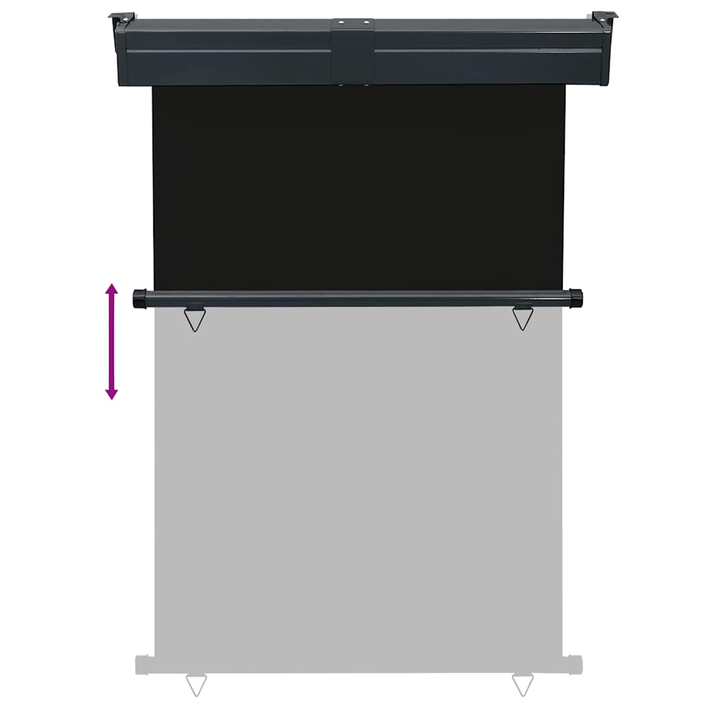 Tendalino Laterale per Balcone 125x250 cm Nero