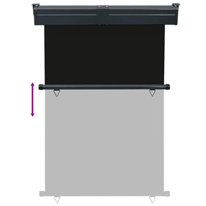 Tendalino Laterale per Balcone 125x250 cm Nero