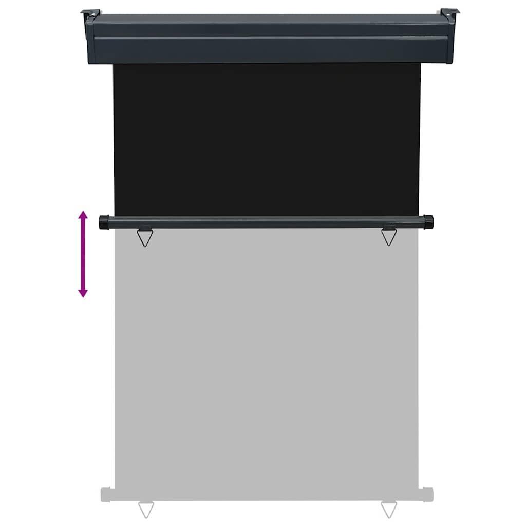 Tendalino Laterale per Balcone 125x250 cm Nero 48418