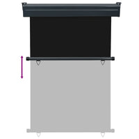 Tendalino Laterale per Balcone 125x250 cm Nero 48418