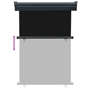 Tendalino Laterale per Balcone 125x250 cm Nero 48418