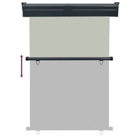 Tendalino Laterale per Balcone 125x250 cm Grigio 48422