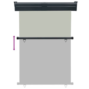 Tendalino Laterale per Balcone 125x250 cm Grigio 48422