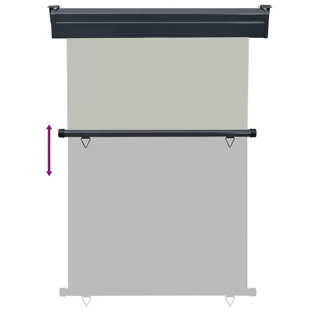 Tendalino Laterale per Balcone 125x250 cm Grigio 48422