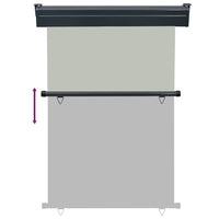 Tendalino Laterale per Balcone 125x250 cm Grigio 48422