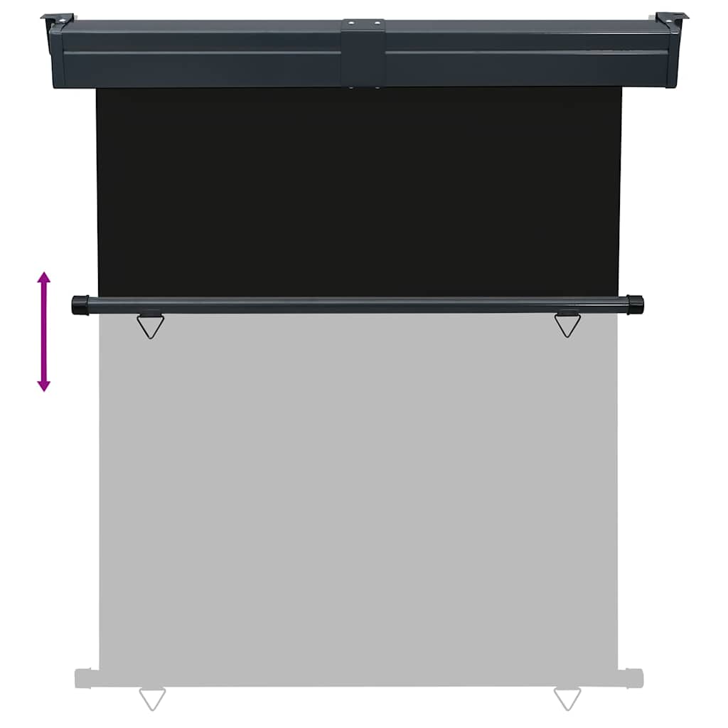 Tendalino Laterale per Balcone 145x250 cm Nero 48424