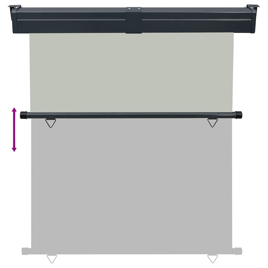 Tendalino Laterale per Balcone 165x250 cm Grigio 48434