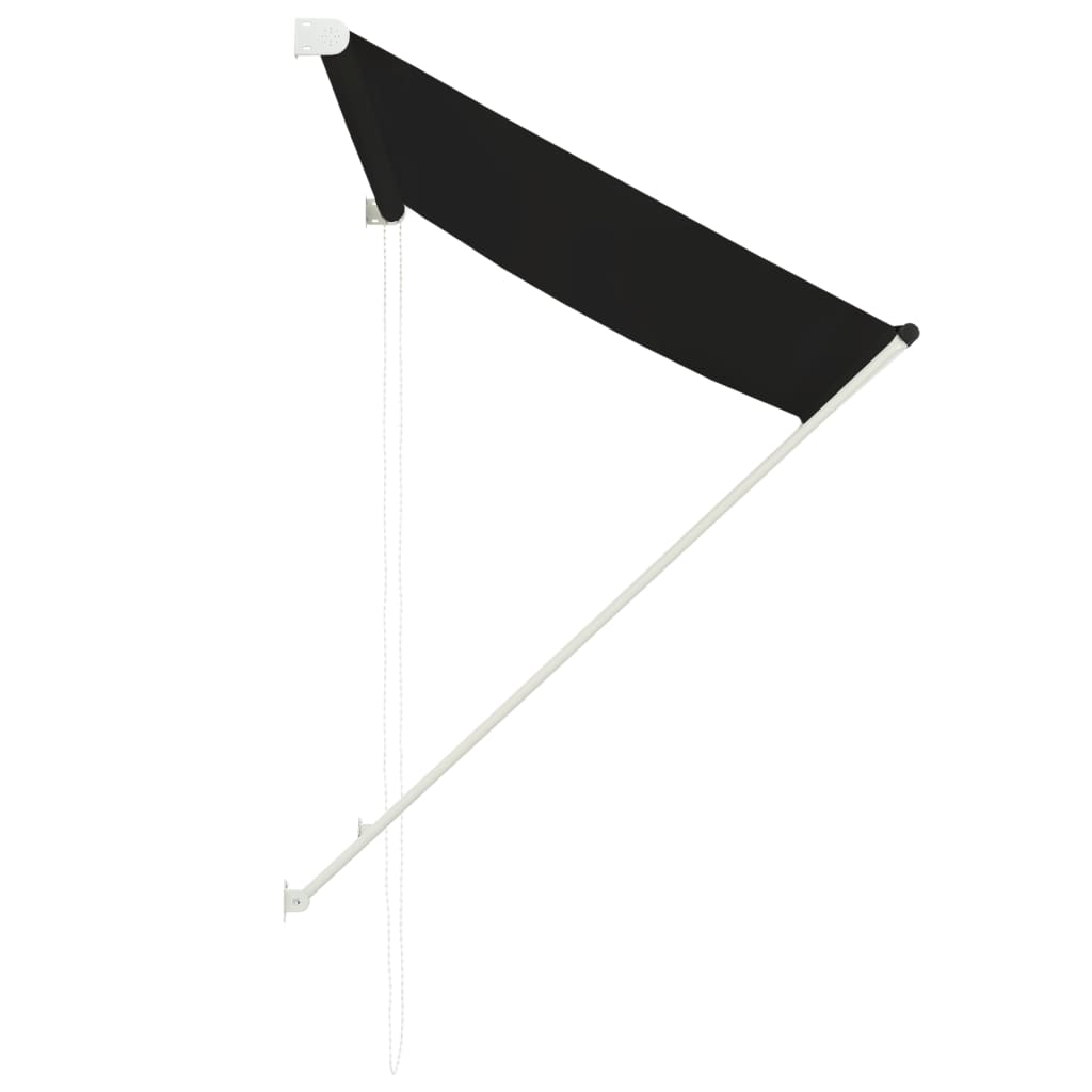 Tenda da Sole Retrattile 100x150 cm Antracite 145891