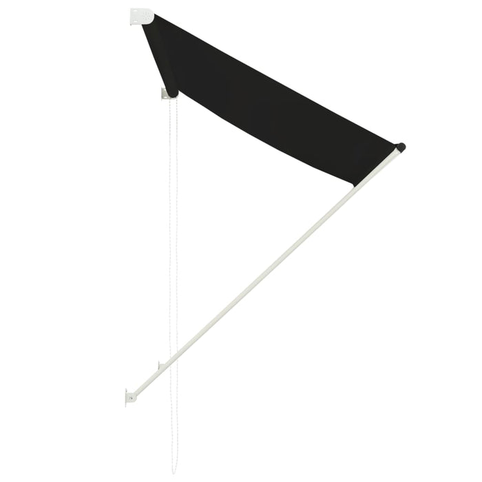 Tenda da Sole Retrattile 100x150 cm Antracite 145891