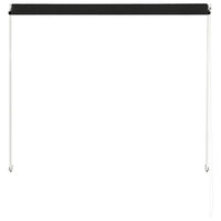 Tenda da Sole Retrattile 100x150 cm Antracite 145891