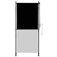 Tenda a Rullo per Esterni 100x270 cm Antracite 145935